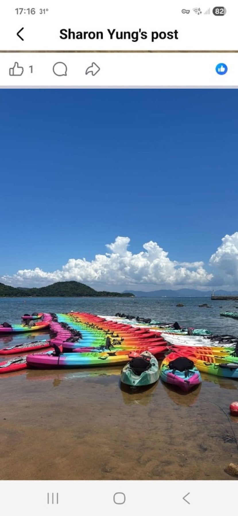 海下灣沙灘上排列的彩色獨木舟